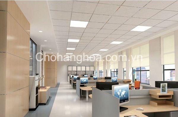 Mau Cong Sat My Thuat Dep 56