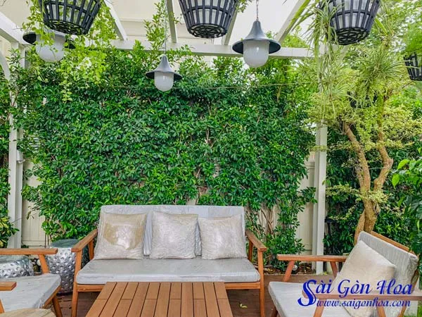 Tiểu cảnh tường cây tích hợp