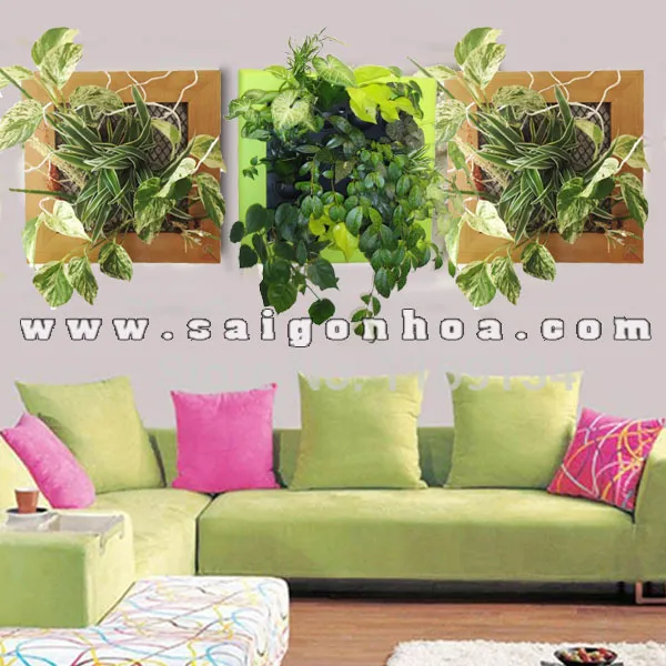 Tranh cây treo tường