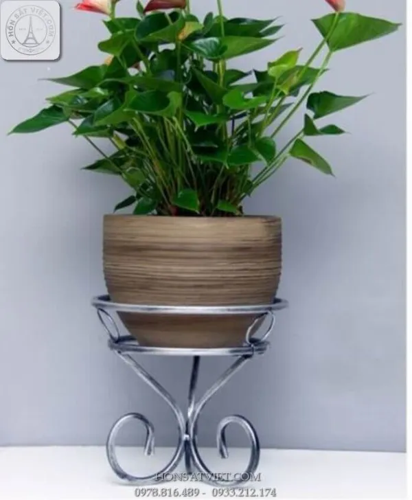 Trưng bày cây cảnh đơn giản