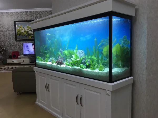 7 vi tri khong nen de be ca tranh pham phong thuy khong tot 6 dde84529