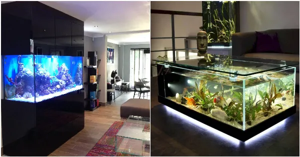 7 vi tri khong nen de be ca tranh pham phong thuy khong tot 7 09902577