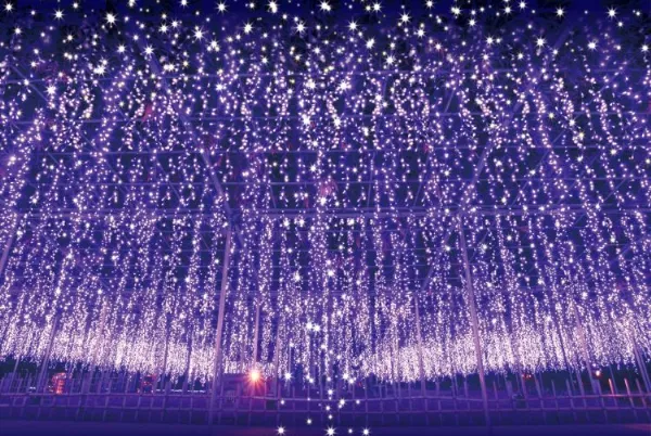 Sắt mỹ thuật cổng cửa