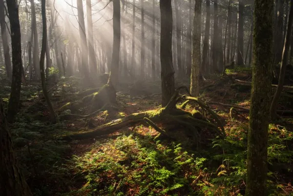 yamanashi902 3 1c5eb014